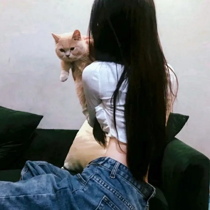 最新影视